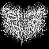 Split The Fuck Open - Discography (2024 - 2026)