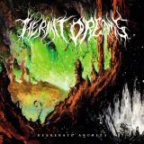 Hermit Dreams - Desperate Anomies