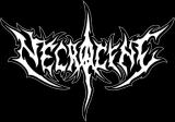 Necrocene - Discography (2024 - 2026) (Upconvert)