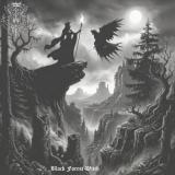 Immersed In Darkness - Black Forest Witch