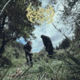 Dungeon Serpent - Discography (2020 - 2026)