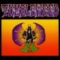 Tumbleweed - Discography (1992-2013)