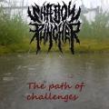 Shadow Puncher - The Path Of Challenges