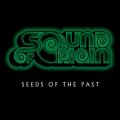 Sound of Origin - Seeds of the Past