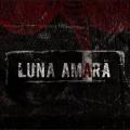 Luna Amară - Discography (2004-2016) (Lossless)