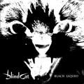 Blindcat - The Journey