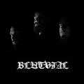 Blutvial - Discography (2007 - 2013)