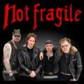 Not Fragile - Discography (1985 - 2013)