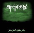 Apoptosis - From Fall to Winter Solstice