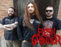 Flesh Grinder - Discography (1994  - 2016)