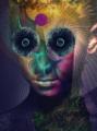Dir En Grey - The Insulated World (Limited Edition) (Lossless)