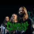 Cumbeast - Discography (2006 - 2019)