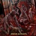 Vaginal Addiction - Orgy of Depravity (Lossless)