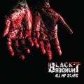 Black Thunder - All My Scars