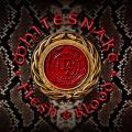Whitesnake - Flesh &amp; Blood (Deluxe Edition) (Lossless)
