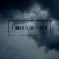 Forged in the Storm - Discography (2016 - 2020)
