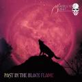 Manipulated Slaves - Past In The Black Flame