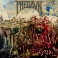 Predawn - Living Rock