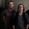 Contaminant - Discography (2008 - 2017)
