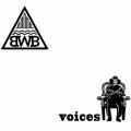 Black Water Brigade - Voices