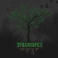Dynamorphic - Roots
