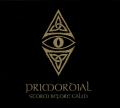 Primordial - Storm Before Calm Bonus (DVD)