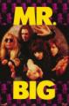 Mr. Big - Discography (1989 - 2019)