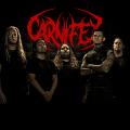 Carnifex - Discography (2005 - 2023)