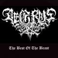 Aegrus - The Best Of The Beast Metal (Compilation)