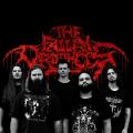 The Fallen Prophets - Discography (2016 - 2023)