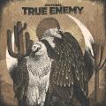 True Enemy - Vultures (Upconvert)