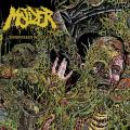Molder - Engrossed In Decay (Lossless)