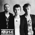 Muse - Discography (1998-2022) (lossless)