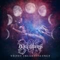 Dawn of Ouroboros - Velvet Incandescence (Lossless)