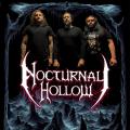 Nocturnal Hollow - Discography (2011-2023)