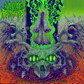 Utilize the Remains - Psychotic Abyss (Hi-Res) (Lossless)