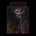 Abyssal Rift - Extirpation Dirge (Upconvert)