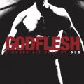 Godflesh - A World Lit Only by Dub (Lossless)