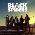Black Spiders - Discography (2009 - 2025)
