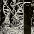 Coroner - Dissonance Theory (Lossless)