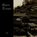 Spirit Temple - IV