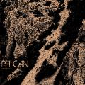 Pelican - Ascending (EP) (Upconvert)
