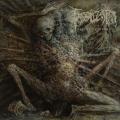 Fossilization - Advent Of Wounds (Lossless)