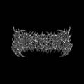 Surrender - Discography (2024 - 2026) (Upconvert)