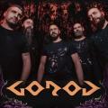 Gorod - Discography (2005 - 2026) (Lossless)