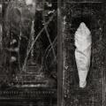 Wolves in the Throne Room - Estuary