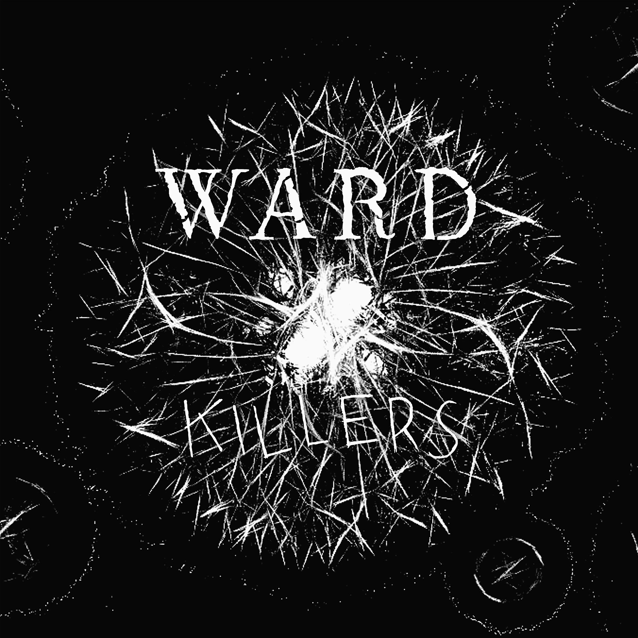 Dead immortal. Пластинка Ward. Диск Ward.